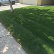 Photo #20: Precise  lawn care and tree/tilling services(affordable)