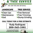 Photo #1: ###LOW COST TREE TRIM/REMOVAL-CLEAN UPS**LANDSCAPING--FATHER&SON....
