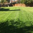 Photo #2: Clean Cut Landscaping $25