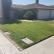 Photo #2: Landscaping/lawn care