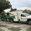 Photo #3: Experienced & Affordable Tree Service- Trimming & Removal -10% Off Dis