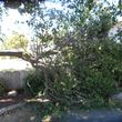 Photo #11: Property lawn, Rototilling and Tree   Service!!
