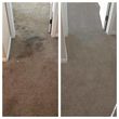 Photo #10: Premium DRY Carpet Cleaning!!  🌸💦🌈❤️