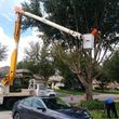 Photo #2: CHEAPEST TREE SERVICE, TREE TRIMMING, TREE REMOVAL AROUND!