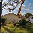 Photo #6: CHEAPEST TREE SERVICE, TREE TRIMMING, TREE REMOVAL AROUND!