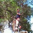 Photo #10: CHEAPEST TREE SERVICE, TREE TRIMMING, TREE REMOVAL AROUND!