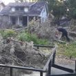 Photo #15: CHEAPEST TREE SERVICE, TREE TRIMMING, TREE REMOVAL AROUND!