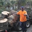 Photo #17: CHEAPEST TREE SERVICE, TREE TRIMMING, TREE REMOVAL AROUND!