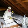 Photo #1: Pest control, Rats, insulation, and mold