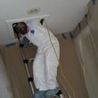 Photo #3: Pest control, Rats, insulation, and mold