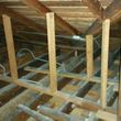 Photo #4: Pest control, Rats, insulation, and mold