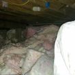 Photo #6: Pest control, Rats, insulation, and mold