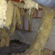Photo #12: Pest control, Rats, insulation, and mold