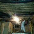 Photo #21: Pest control, Rats, insulation, and mold