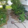 Photo #9: Lawn Care Service, Hauling, Pressure Washing, Small Tree Removal