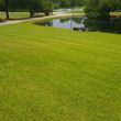 Photo #17: Lawn Care Service, Hauling, Pressure Washing, Small Tree Removal