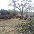 Photo #15: ANTONIO'S TREE SERVICE AND LANDSCAPING !!