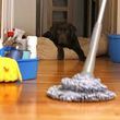 Photo #1: HOUSE CLEANING SERVICE AND CARPET CLEANING IN ORANGE COUNTY