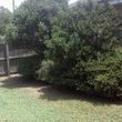 Photo #9: Free Quotes Professional Outdoor Services Save 
