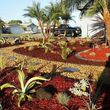 Photo #10: LANDSCAPING AND GARDENING