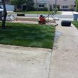 Photo #2: SOD INSTALLATION/SPRINKLER`S /CLEAN UPS/WEEKLY MAINTENANCE SERVICES