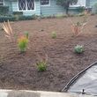 Photo #6: SOD INSTALLATION/SPRINKLER`S /CLEAN UPS/WEEKLY MAINTENANCE SERVICES