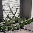 Photo #6: SILVA LANDSCAPING SERVICES