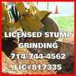 Photo #1: LICENSED AMERICAN  STUMP GRINDING