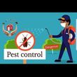 Photo #1: **PEST CONTROL**  ANTS AND SPIDERS FOR ONLY $90, WITH 60-DAY WARRANT