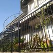 Photo #4: Wrought Iron Fence by Robert