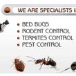 Photo #2: TERMITES & PEST CONTROL FAMILY OWNED