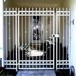 Photo #11: TYLER'S CUSTOM WROUGHT IRON & MOBILE WELDING FENCE & GATE REPAIR