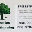 Photo #1: >>>>> TREE TRIMMING/ REMOVAL & OTHER LANDSCAPE SOLUTIONS <