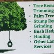 Photo #2: >>>>> TREE TRIMMING/ REMOVAL & OTHER LANDSCAPE SOLUTIONS <