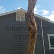 Photo #4: >>>>> TREE TRIMMING/ REMOVAL & OTHER LANDSCAPE SOLUTIONS <
