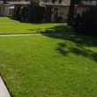 Photo #6: sosa & bros lawn care/clean up/lawn services/free estimates