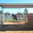 Photo #11: Retirement Horse Boarding: Fed 3x/day + DAILY Turn-Outs