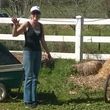 Photo #14: Retirement Horse Boarding: Fed 3x/day + DAILY Turn-Outs