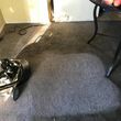 Photo #13: Carpet cleaning service!!!! Local company.