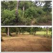 Photo #2: Forestry Mulching  / Cedar Clearing / Land Clearing