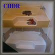 Photo #12: CHDR Painting and Reglazing
