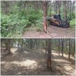 Photo #1: Clean Acres Brush Clearing, LLC
