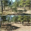 Photo #5: Clean Acres Brush Clearing, LLC