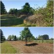 Photo #7: Clean Acres Brush Clearing, LLC