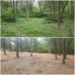 Photo #8: Clean Acres Brush Clearing, LLC