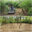 Photo #9: Clean Acres Brush Clearing, LLC