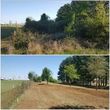 Photo #11: Clean Acres Brush Clearing, LLC
