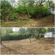 Photo #15: Clean Acres Brush Clearing, LLC