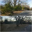 Photo #16: Clean Acres Brush Clearing, LLC
