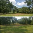 Photo #17: Clean Acres Brush Clearing, LLC